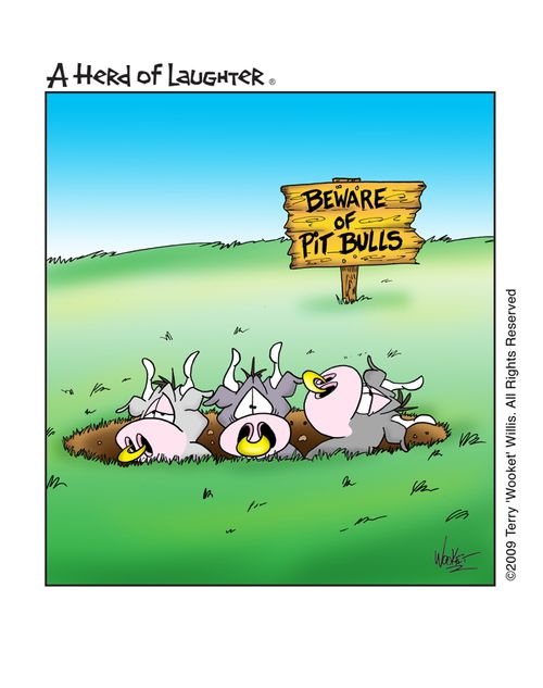 Beware of Pit Bulls.