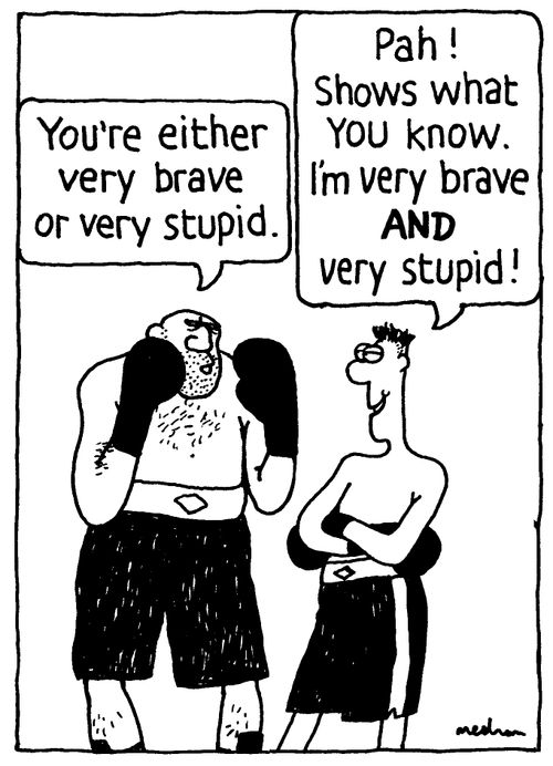 'You're either very brave or very stupid.' 'Pah! Shows what you know. I'm very brave AND very stupid!'