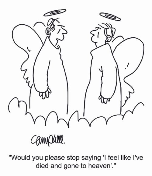 'Would you please stop saying 'I feel like I've died and gone to heaven'.'