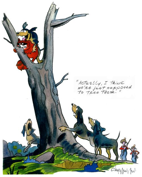 'Actually, I think we're just supposed to tree them.'