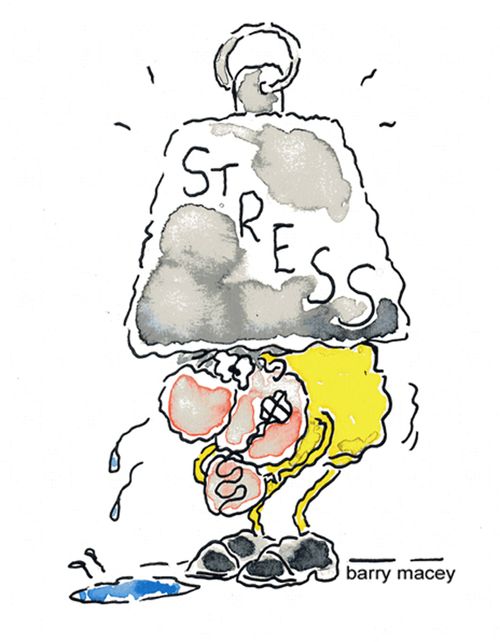 Stress.