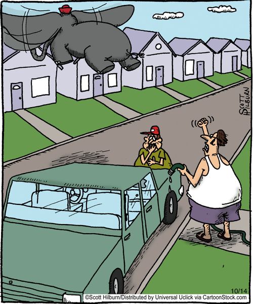 Flying Elephant and Car Washer,