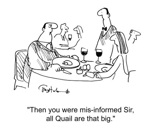'Then you were mis-informed Sir, all Quail are that big.'