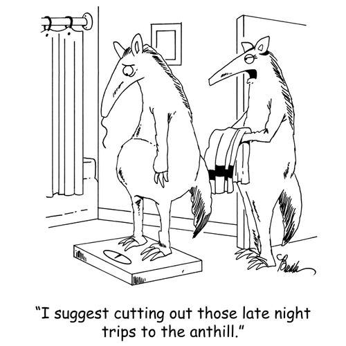 'I suggest cutting out those late night trips to the anthill.'