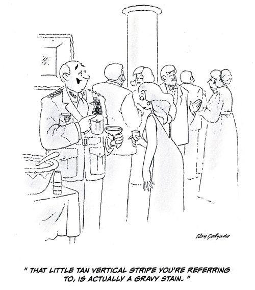 'That little tan vertical stripe you're referring to, is actually a gravy stain.'