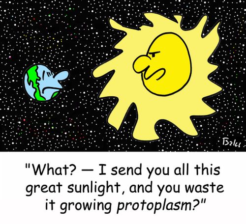 'What? -- I send you all this great sunlight, and you waste it growing PROTOPLASM?'