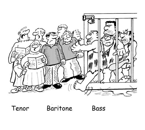 Choir Sections