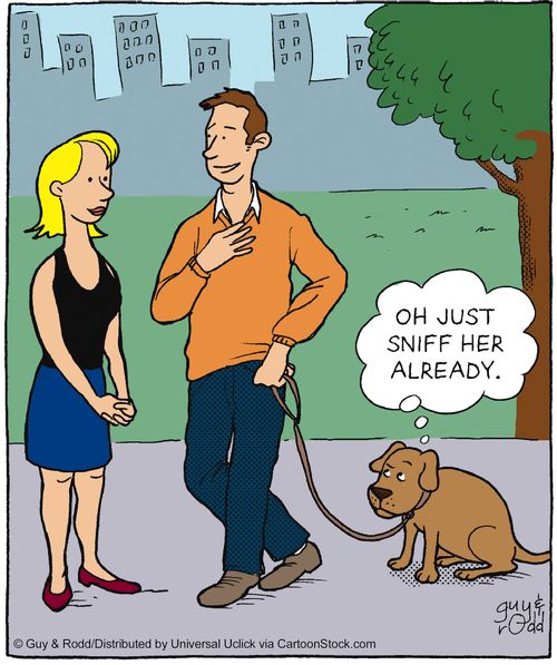 'Oh just sniff her already.'