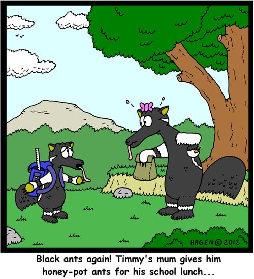 'Black ants again! Timmy's mum gives him honey-pot ants for his school lunch...'