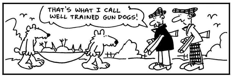 'That's what I call well trained gun dogs.'