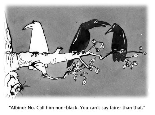 'Albino? No. Call him non-black. You can't say fairer than that.'
