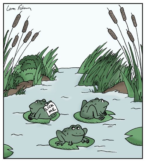 Toad practical jokes.