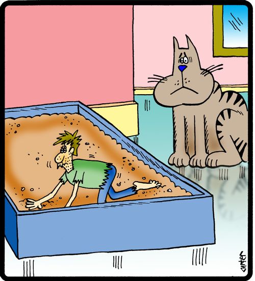Guy stranded in litterbox desert.