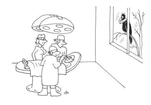 Vulture waits outside operating theatre.