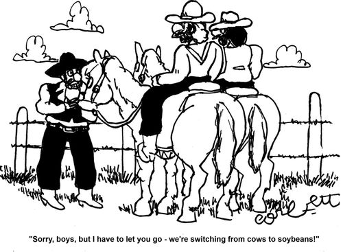 'Sorry, boys, but I have to let you go - we're switching from cows to soybeans!'
