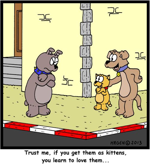 'Trust me, if you get them as kittens, you learn to love them...'