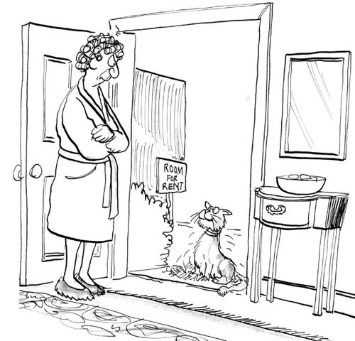 A shedding cat applies for a room.