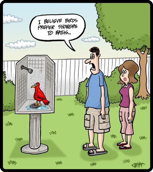 'I believe birds prefer showers to baths...'