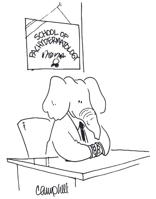 School of Pachydermatology.