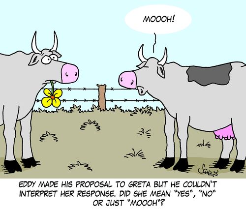 Eddy made his proposal to Greta but he couldn't interpret her response. did she mean 'Yes', 'No' or just 'Moooh'?