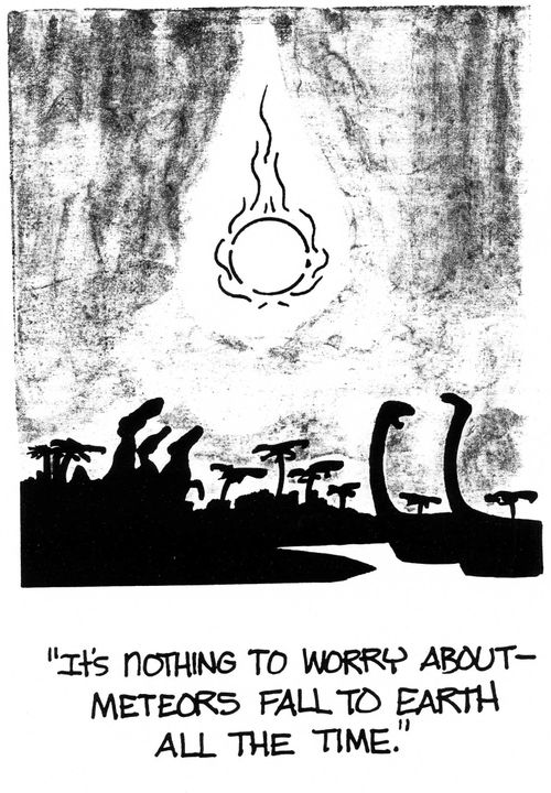 'It's nothing to worry about - Meteors fall to earth all the time.'