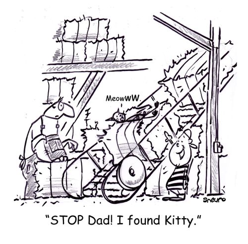 'STOP dad! I found Kitty.'