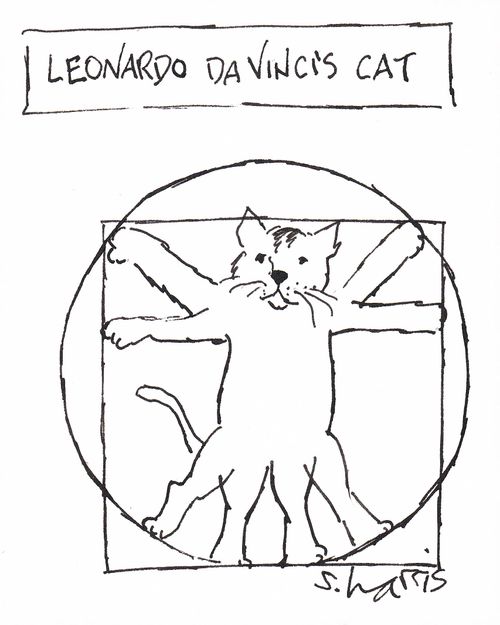 Leonardo da Vinci's cat.