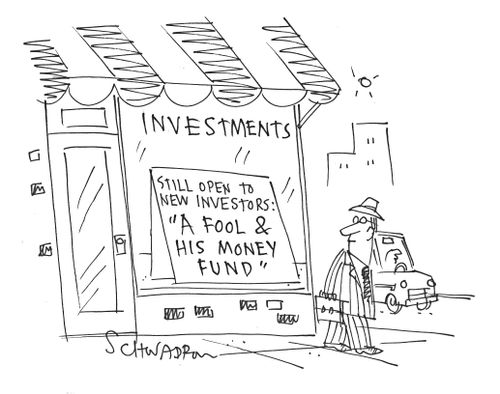 Investments: Still Open to New Investors - 'A fool & his money fund.'
