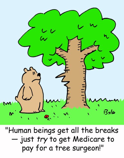 'Human beings get all the breaks -- just TRY to get Medicare to pay for a tree surgeon!'