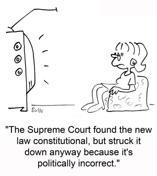 'The Supreme Court found the new law constitutional, but struck it down anyway because it's politically incorrect.'