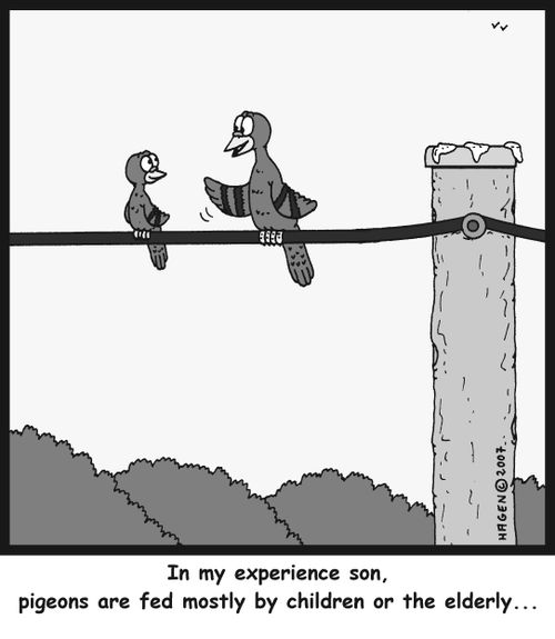In my experience son, pigeons are fed mostly by children or the elderly...