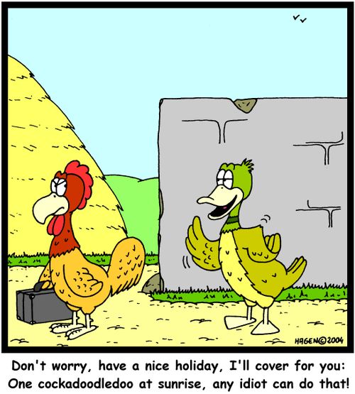 Don't worry, have a nice holiday, I'll cover for you: One cockadoodledoo at sunrise, any idiot can do that!