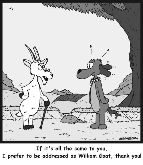 'If it's all the same to you, I prefer to be addressed as William Goat, thank you!'