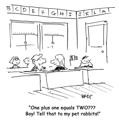 One plus one equals TWO??? Boy! Tell that to my pet rabbits!