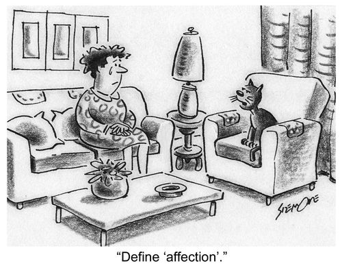 Cat to owner: 'Define 'affection'.'