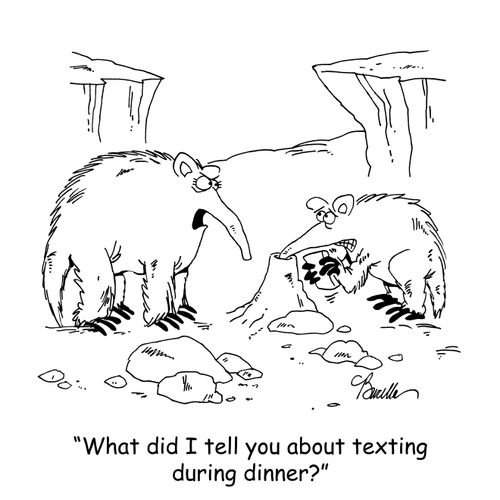 'What did I tell you about texting during dinner?'