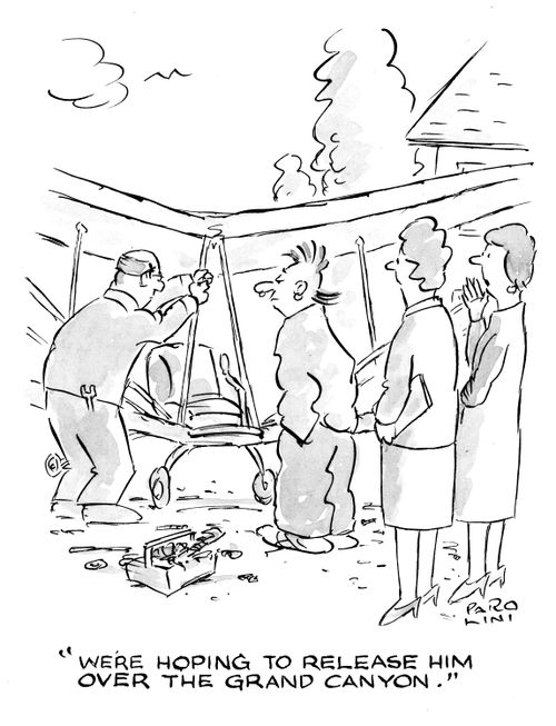'We're hoping to release him over the Grand Canyon.'