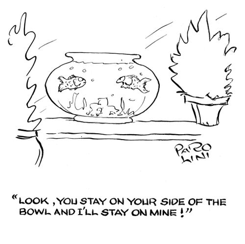 'Look, you stay on your side of the bowl and I'll stay on mine!'