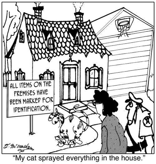 'My cat sprayed everything in the house.'