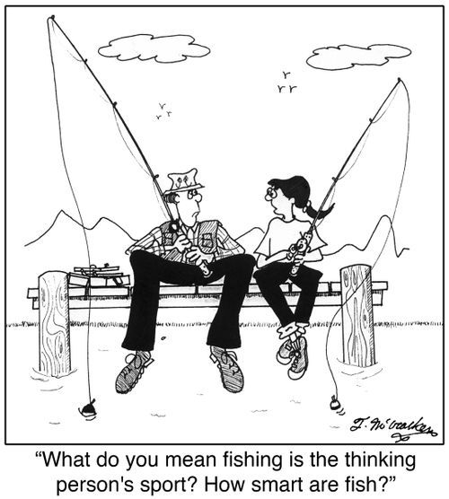 'What do you mean fishing is the thinking person's sport? How smart are fish?'