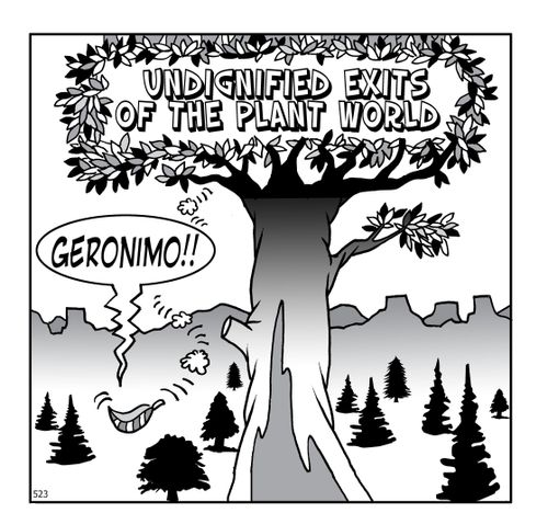 Undignified Exits of the Planet World: Geronimo!