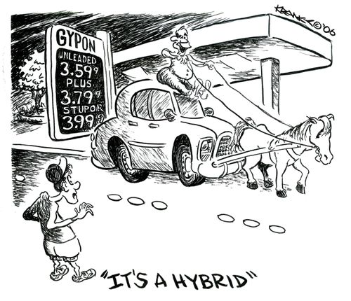 'It's a hybrid.'