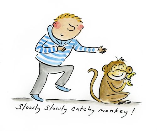 Slowly slowly catchy monkey!