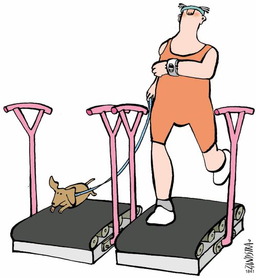 Man and dog on exercise bikes.