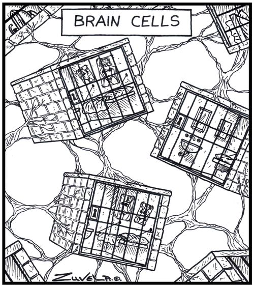 Human Brain cells in the form of Jail cells inside the brain.