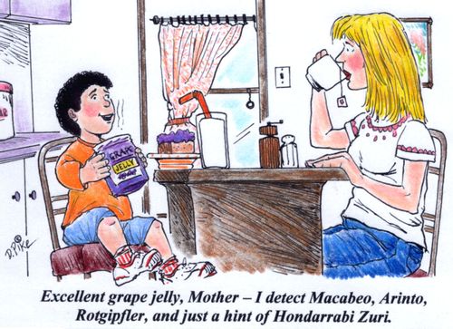 'Excellent grape jelly, Mother -- I detect Macabeo, Arinto, Rotgipfler, and just a hint of Hondarrabi Zuri.'