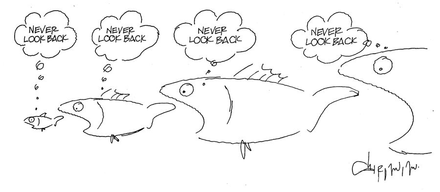 Fish being eaten, thinking 'Never look back.'