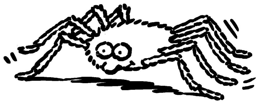 Spider.