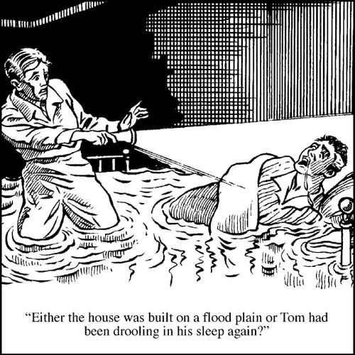 "Either the house was built on a flood plain..."