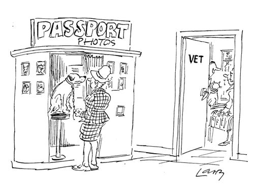 Pet Passport Photos